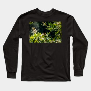 Summer butterfly on foliage Long Sleeve T-Shirt